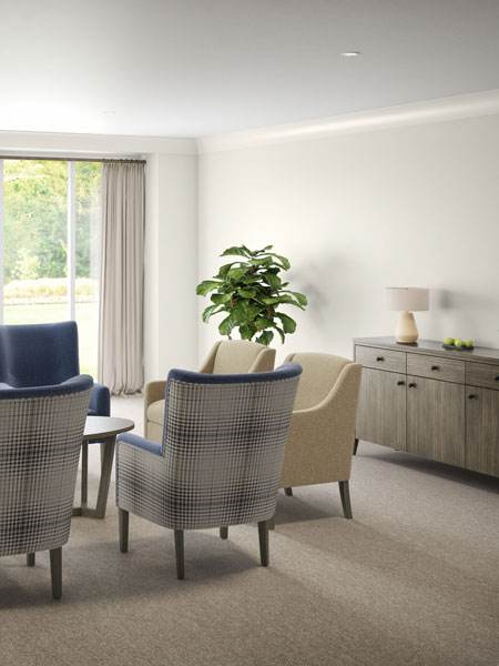 3D Renders & Floor Plans